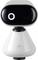 A small, white, robot-like device with a black camera lens on its head, featuring the Motorola logo on its body.