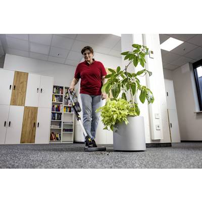 A person vacuums a carpeted office space with a cordless vacuum, while plant pots and bookshelves are visible in the background.