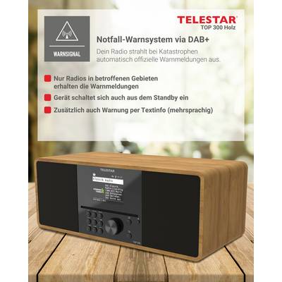'Emergency Warning System via DAB+' shows a wooden radio on a table. Text explains automatic warning messages during disasters over radio.