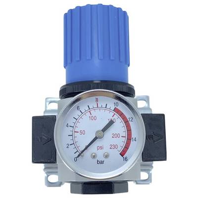 Pressure gauge with a blue adjuster shows a reading in psi and bar. Arrows indicate 'In' and 'Out' directions on either side.