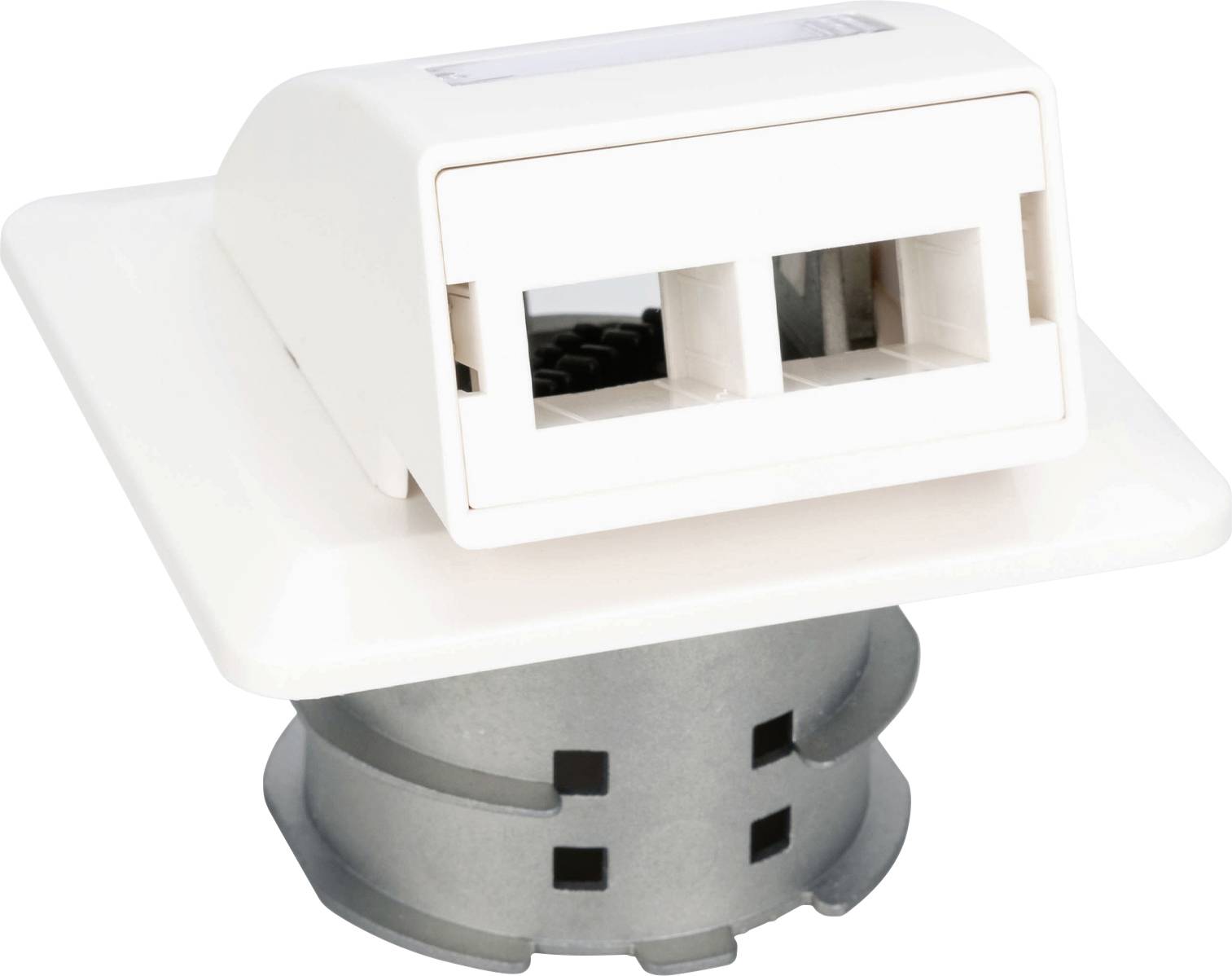Wall-mounted network outlet with two RJ45 ports for ethernet connections, installed on a square faceplate with a cylindrical base.