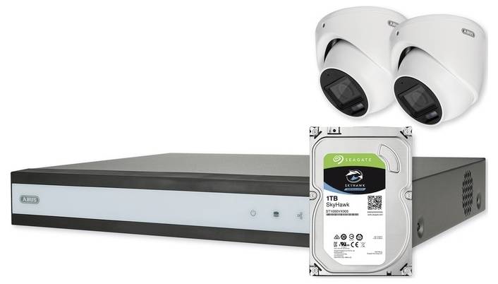 A black and white surveillance camera system with a DVR, two dome cameras, and a Seagate 1TB hard drive for video storage.