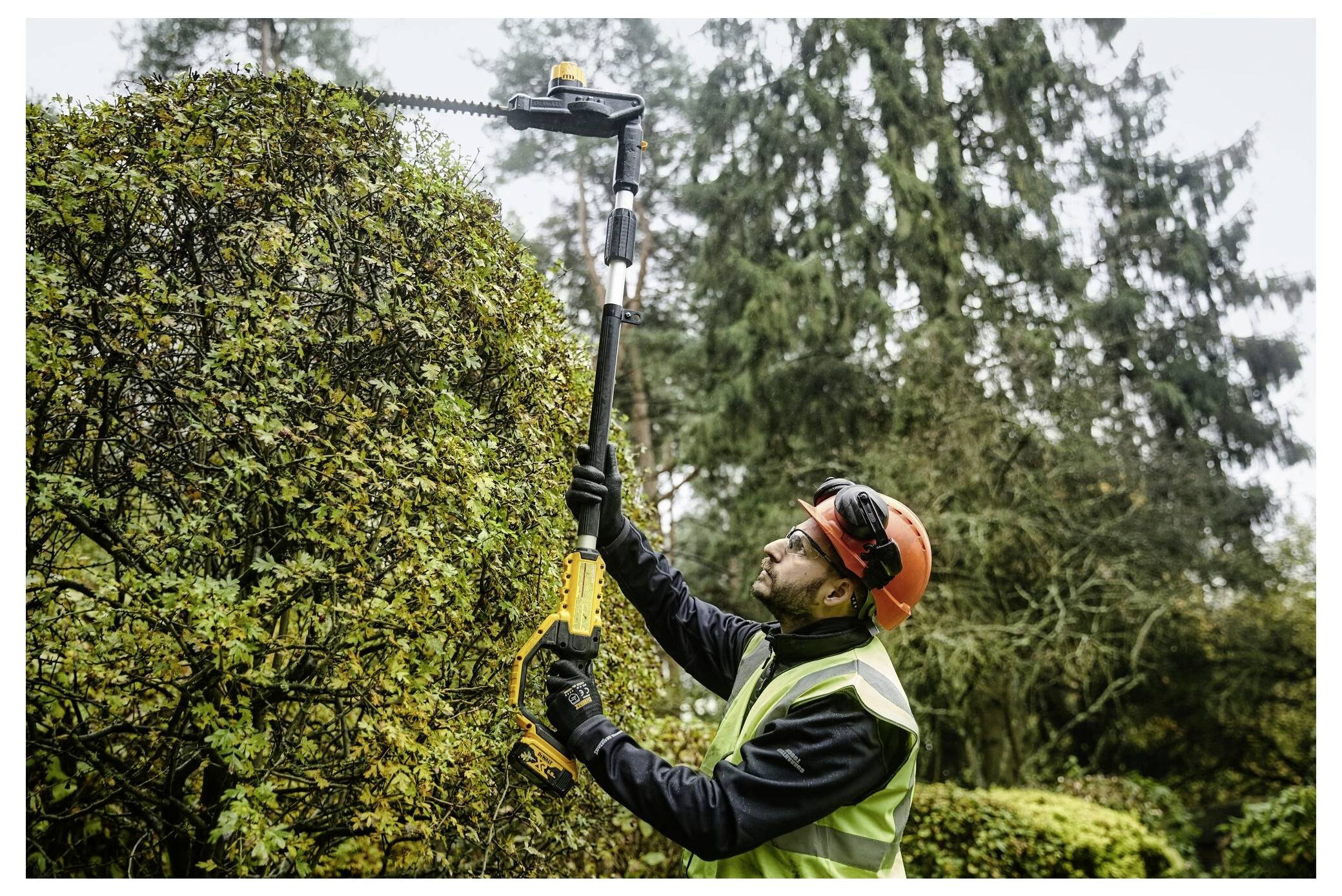 A person wearing safety gear trims tall hedges with a powered hedge trimmer in a garden, surrounded by trees and greenery.