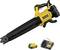 A yellow and black Dewalt leaf blower with a battery and charger shown separately.