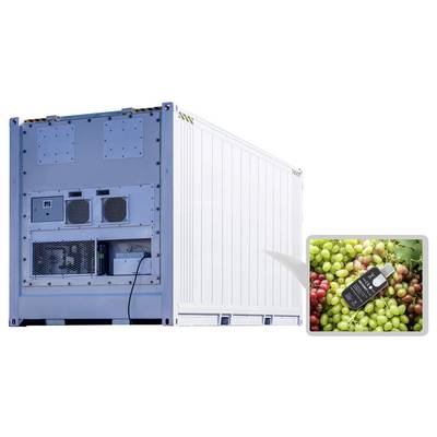 'Refrigerated shipping container with a close-up of grapes and a data logger, highlighting temperature control for transporting produce.'