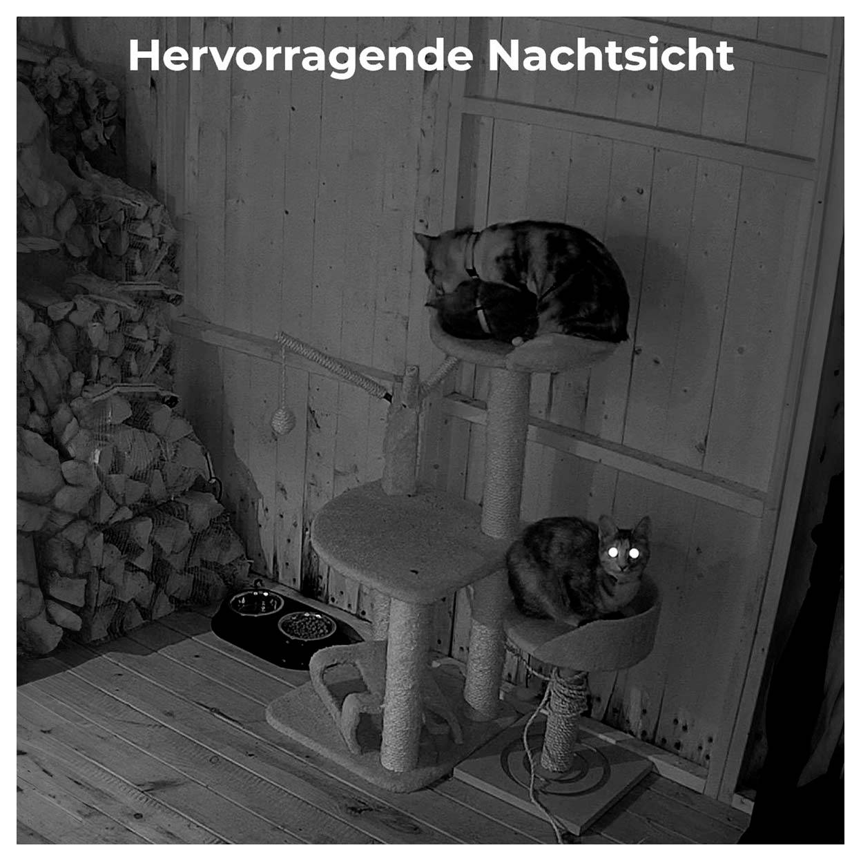 Reolink E330 WCEP5MP04PTW Wi-Fi IP CCTV camera-7