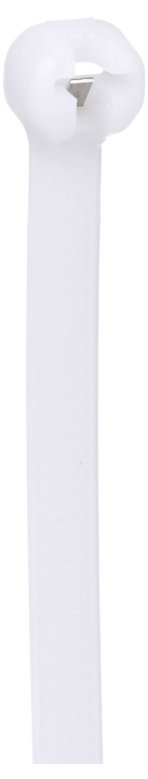 A white cable tie with a looped head and a locking mechanism, commonly used to bundle or secure cables together.