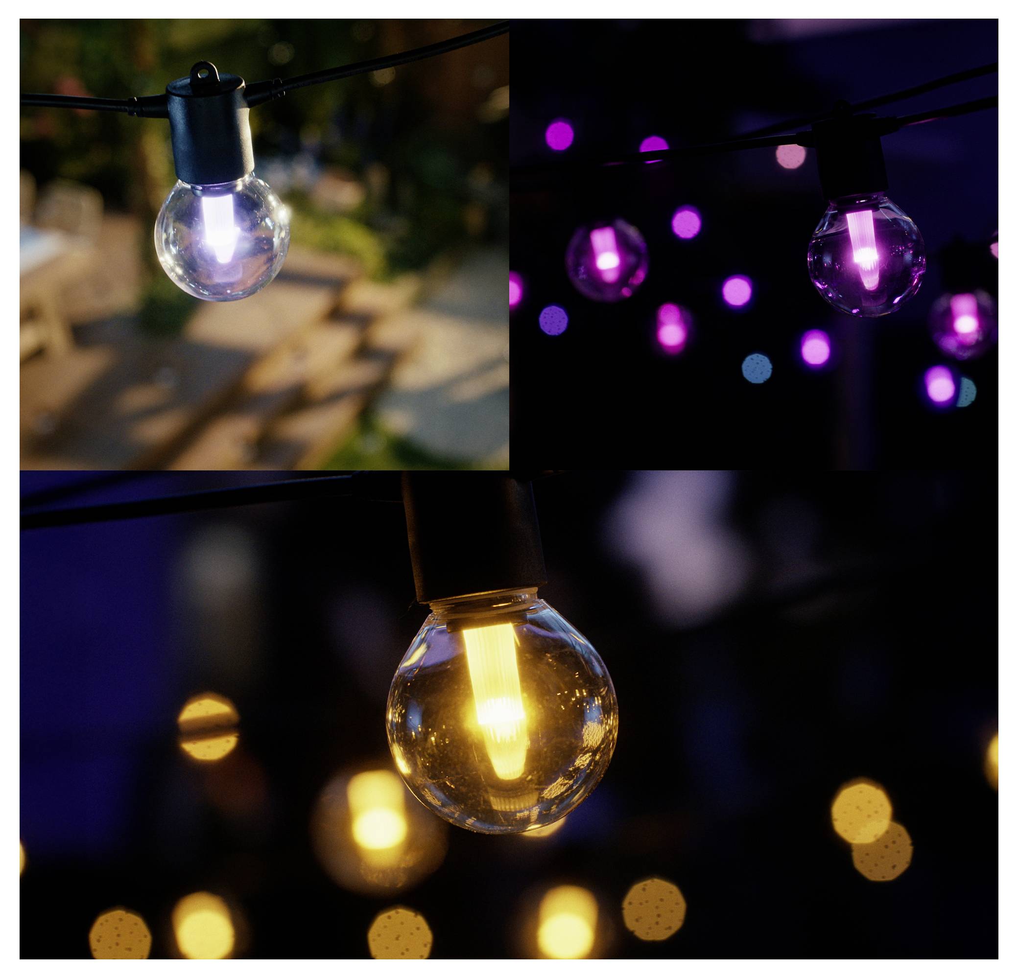 'Three photos of string lights: top left shows a clear bulb in a garden; top right shows purple lights at night; bottom shows a glowing bulb at dusk.'