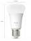 A white Philips Hue light bulb with specifications: 110 mm height, 60 mm diameter. Bulb labeled 'hue white 810'.