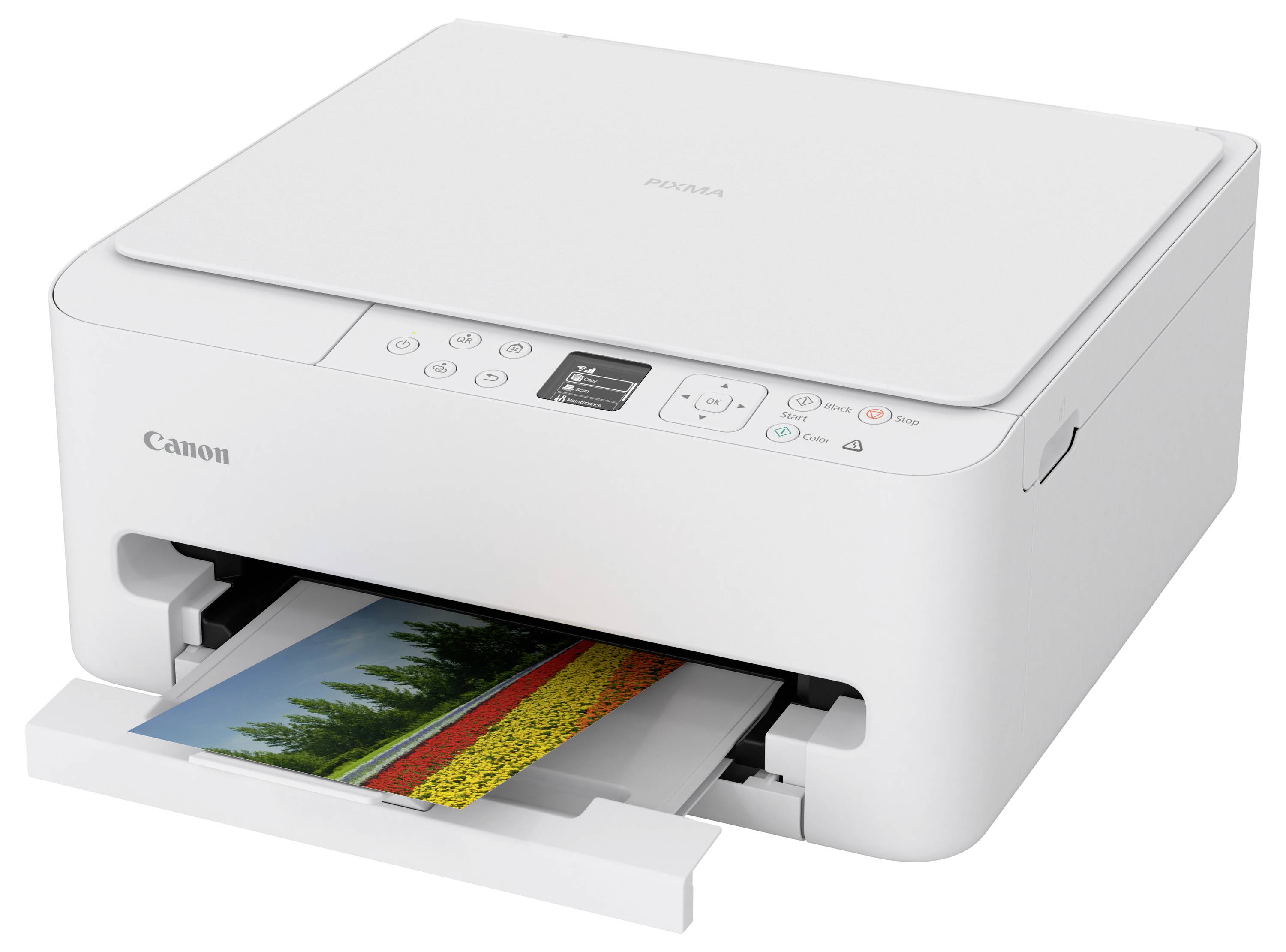 A white Canon Pixma printer with a colorful landscape photo being printed, showing various control buttons on its top.