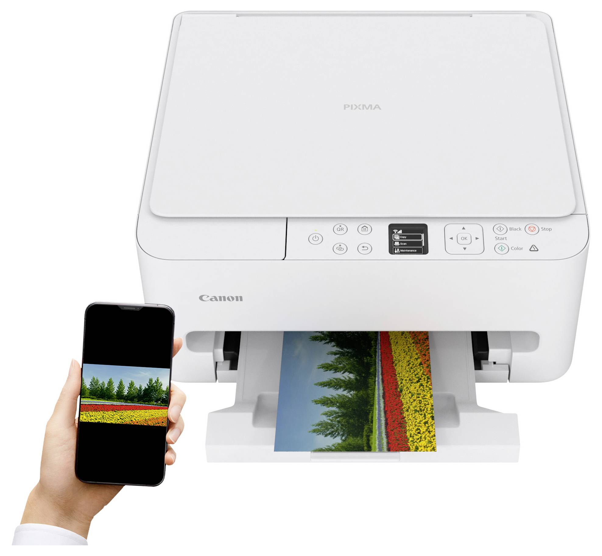 A white Canon printer wirelessly printing a landscape photo. A hand holds a smartphone displaying the same image being printed.