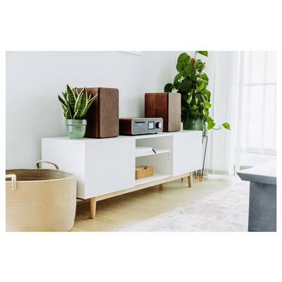 A modern living room setup with a white cabinet holding a stereo, flanked by houseplants and speakers. Basket and rug visible on the floor.