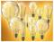 Various vintage-style light bulbs with visible filaments on an orange background, showcasing different shapes and sizes.