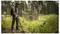 A person using a metal detector in a grassy area near ancient ruins in a forest, suggesting a search for historical artifacts.