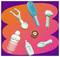 Stylized grooming tools, including a brush, spray bottle, and hairdryer, arranged on a purple and orange background.