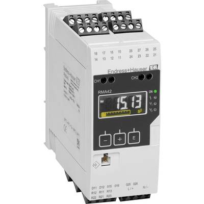 Control unit with digital display showing '15.13 m³', labeled 'Endress+Hauser RMA42', featuring buttons and multiple connection points.