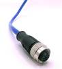 Mueller Electric C4C81M005 Sensor/actuator connector M12 Socket, straight 5 m No. of pins (RJ): 4 1 pc(s)
