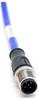 Mueller Electric C5A82M005 Sensor/actuator connector M12 Plug, straight 5 m No. of pins (RJ): 5 1 pc(s)