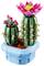 Two LEGO cacti with flowers in a blue pot; one cactus bears pink roses, the other has pink and yellow blooms, both featuring small brown spines.