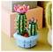 LEGO set of two cacti with pink flowers on a blue base, displayed on a tabletop next to a real cactus and a stack of boxes.