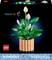 'Lego Botanicals Peace Lily' set with a Peace Lily model assembled from 474 pieces. Packaging features a dark background with peace lily illustration.