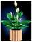A LEGO plant set featuring large green leaves and white flowers in a cylindrical planter, displayed against a dark background.