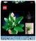 A Lego set box featuring a model of anthurium flowers with dark green leaves and white blossoms, alongside a photo of the real plant.