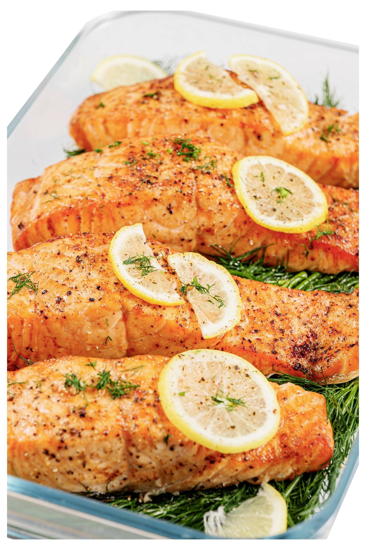 Four cooked salmon fillets topped with lemon slices and herbs, arranged in a glass dish with dill sprigs underneath.