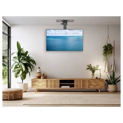 A stylish living room with a wall-mounted TV displaying an ocean scene, surrounded by plants, a wooden console, and soft lighting.