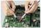 Two hands use multimeter probes to test a green computer motherboard, focusing on electronic components.
