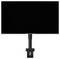 A flat screen monitor mounted on a black adjustable desk arm, displayed against a plain white background.