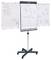 A tripod easel holds three flip charts. The charts display doodles and text on brainstorming topics, such as '5W', ideas, and agenda items.
