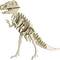 Wooden puzzle of a dinosaur skeleton standing upright, showing interlocking pieces forming the body structure.