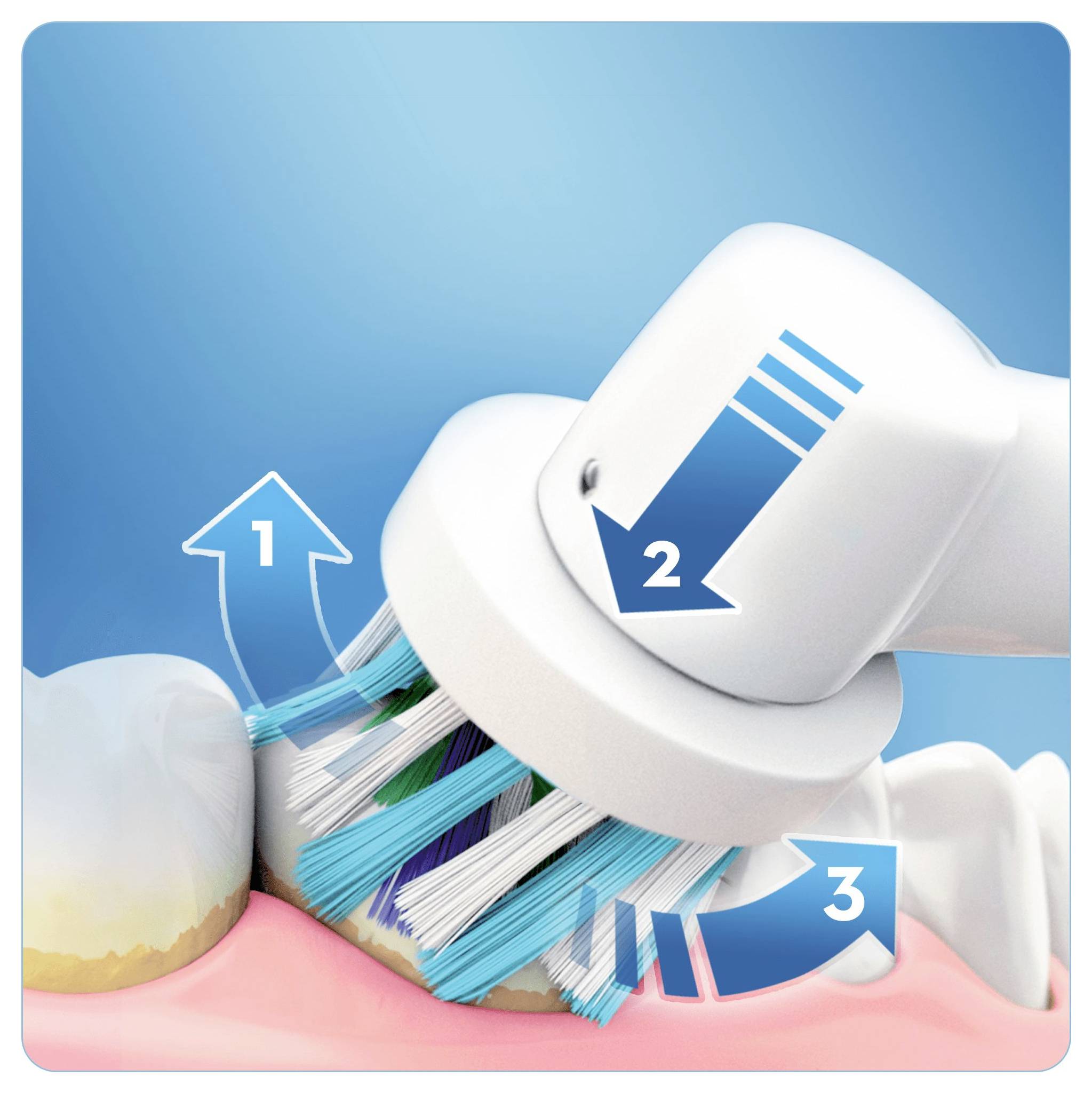 An electric toothbrush demonstrates brushing techniques with arrows: 1. upward at the gum line, 2. downward on the tooth, 3. circular motion.
