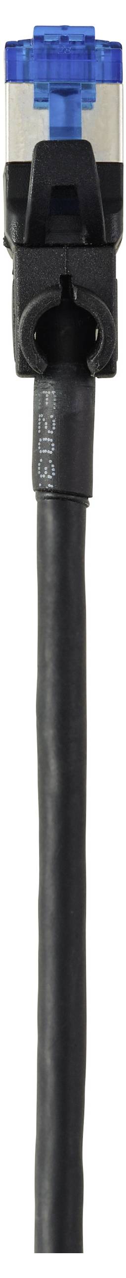A close-up view of a black Ethernet cable with a blue plastic connector at the end.