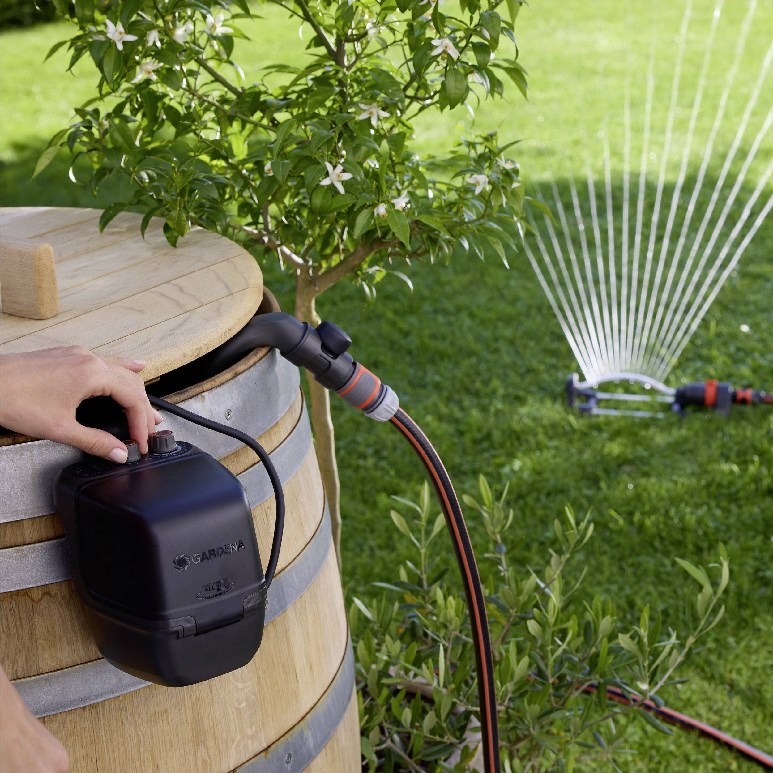 A person is attaching a hose to a water barrel, with water sprinkling in the background from a lawn sprinkler near bushes.