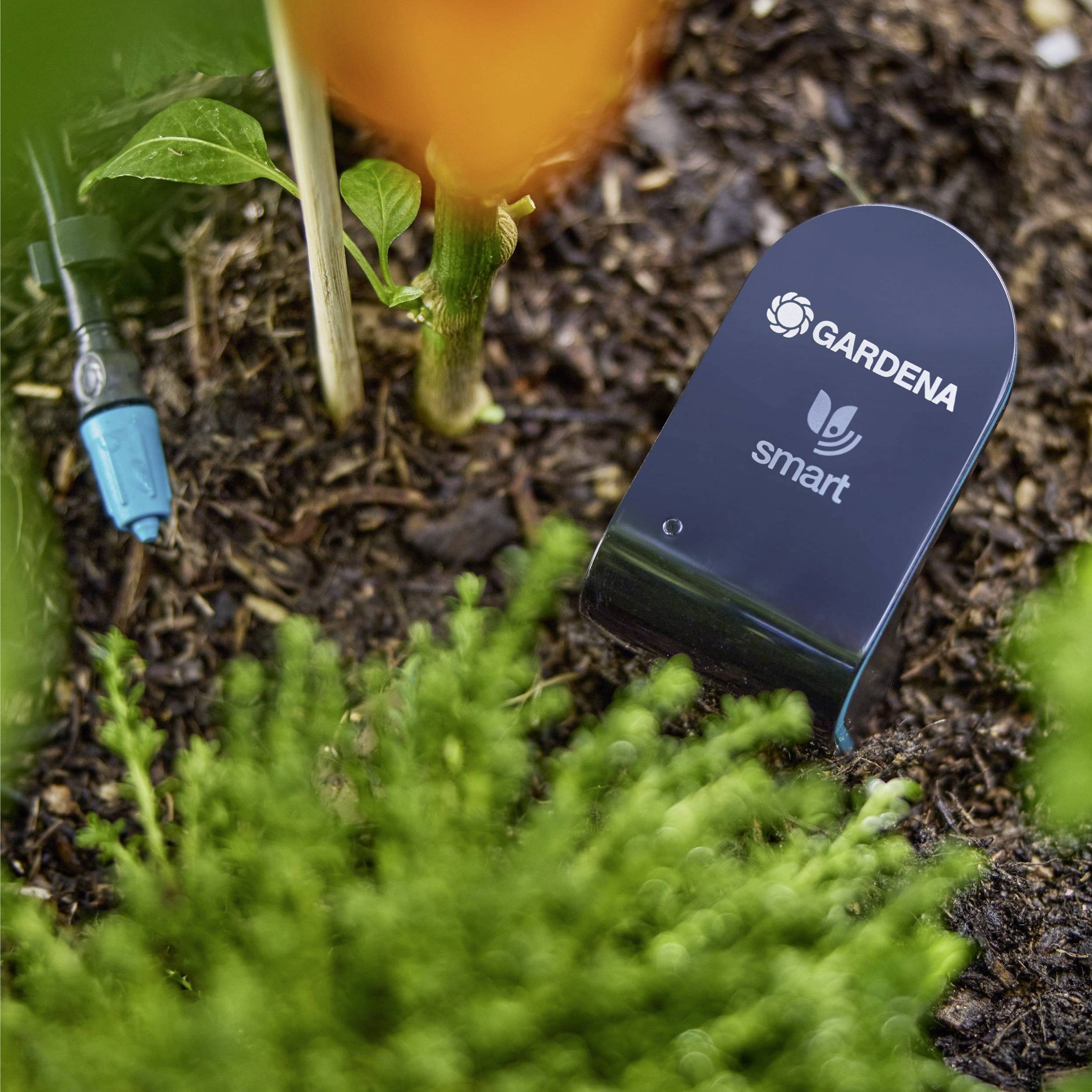 A smart garden sensor by Gardena is placed in soil near plants, likely for monitoring soil moisture or other environmental conditions.