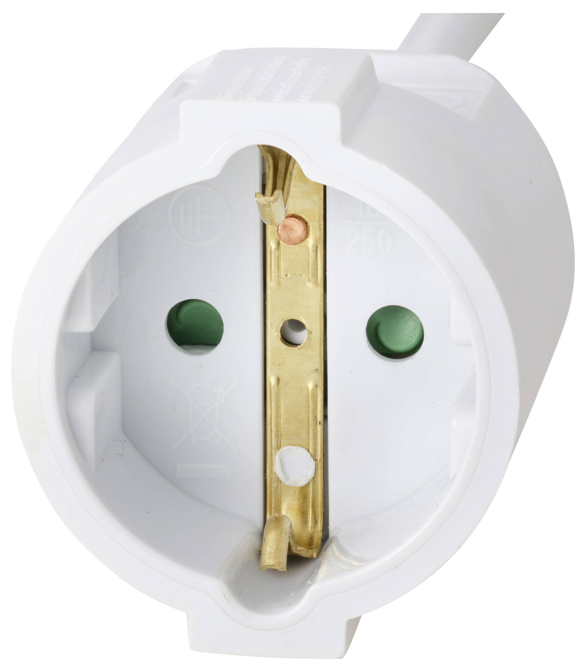 'A close-up of a European-style two-pin electrical plug with grounding, showcasing the power connection components.'