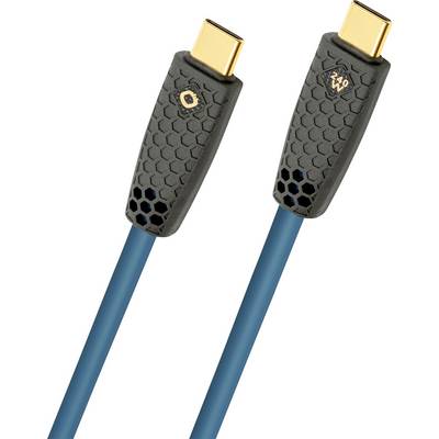 A pair of grey and blue USB-C cables with gold connectors, marked with ‘40 Gbps’ and ’240 W’, indicating high data transfer and power delivery capabilities.