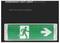 'Emergency exit light showing a figure running through a door, with an arrow pointing right, on a green background.'