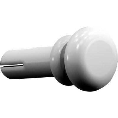 A white plastic wall plug with a ribbed body and flared head, used for securing screws in masonry or drywall.
