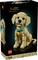 'Lego Icons Golden Retriever Puppy' box featuring a detailed model of a tan puppy with a teal collar, set for ages 18+, 2102 pieces.
