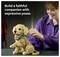 A person builds a detailed LEGO dog model. Text reads 'Build a faithful companion with expressive poses.'