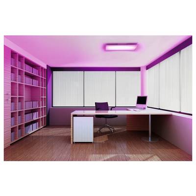 An office room with wooden flooring, a modern desk and chair, computer on the desk, large windows with vertical blinds, and shelves with books. The room is illuminated by pink lighting.