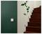 A single light switch on a green wall next to a wooden staircase with spindly plant vines growing along the wall.