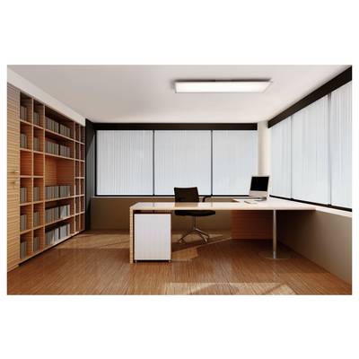 A modern office with wooden flooring, large windows, a desk with a computer, and a chair. Shelves with books line one wall. Natural light fills the room.
