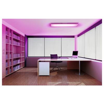 A modern office space with pink lighting, featuring a desk with a computer, chair, and large windows with blinds partially closed, surrounded by bookshelves.