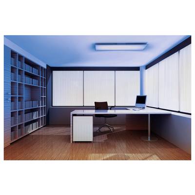 A modern office with a large desk, chair, and computer in a brightly lit room. Shelves filled with books line the left wall.