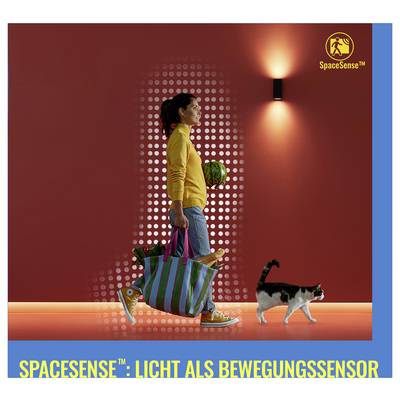 A person in a yellow sweater carrying a colorful bag passes a lit wall sensor, with a cat walking beside them. Text: 'SpaceSense™: Licht als Bewegungssensor'.