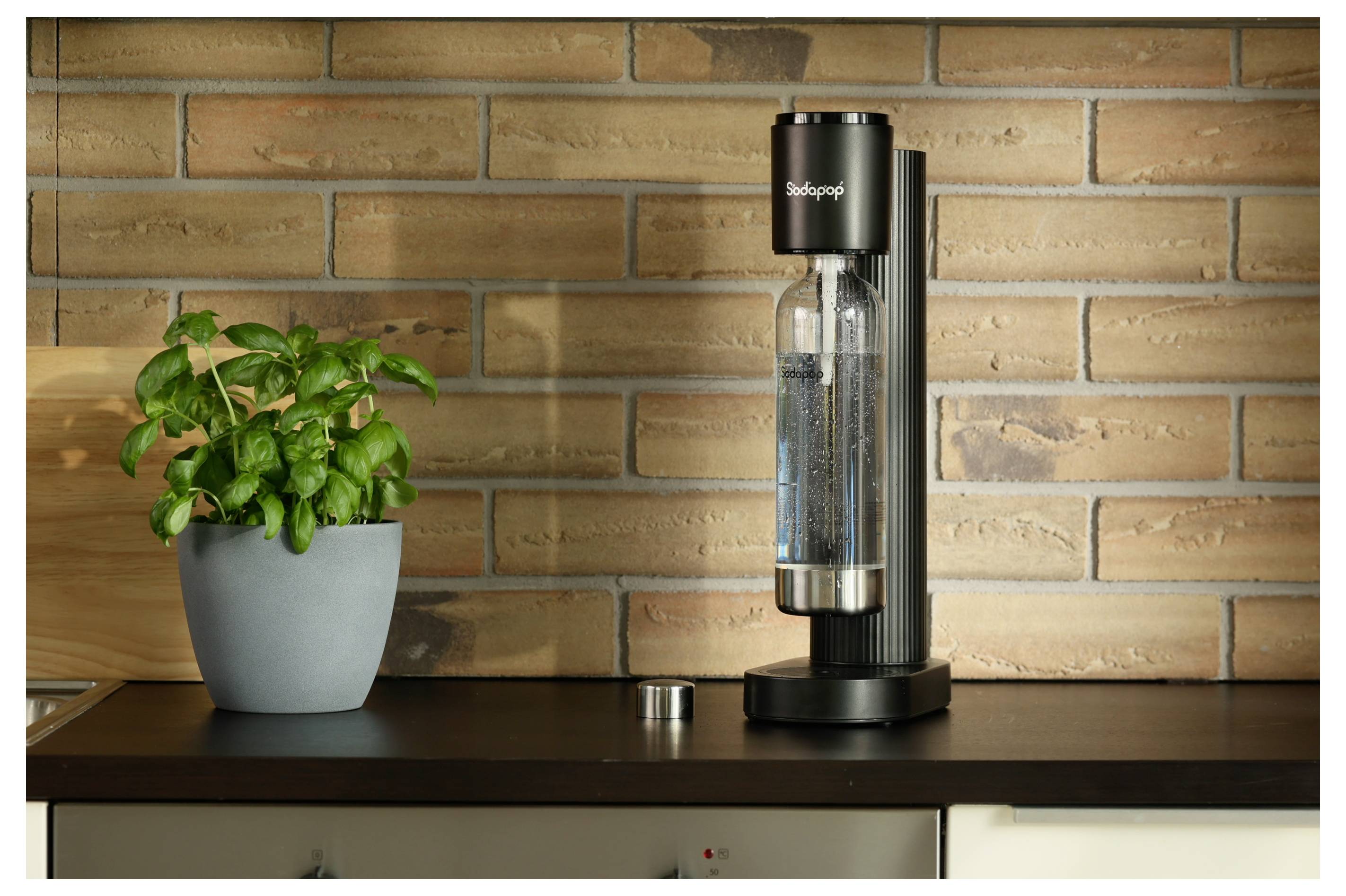 'Sodapop' branded drink maker next to a potted plant on a kitchen counter with a brick wall background.
